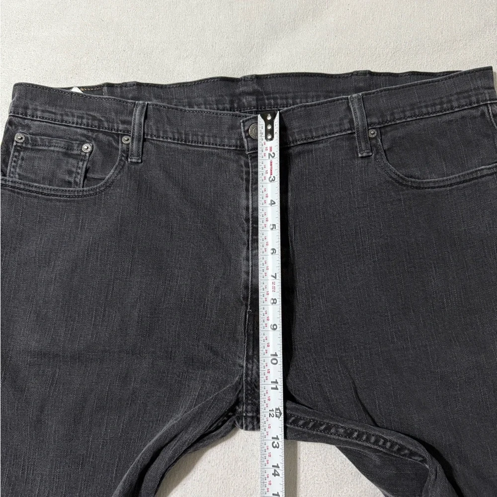 Levis levis 569
